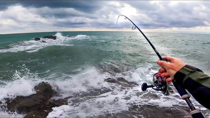 Pesca a spinning mare: tecniche, attrezzatura e consigli per pescatori appassionati
