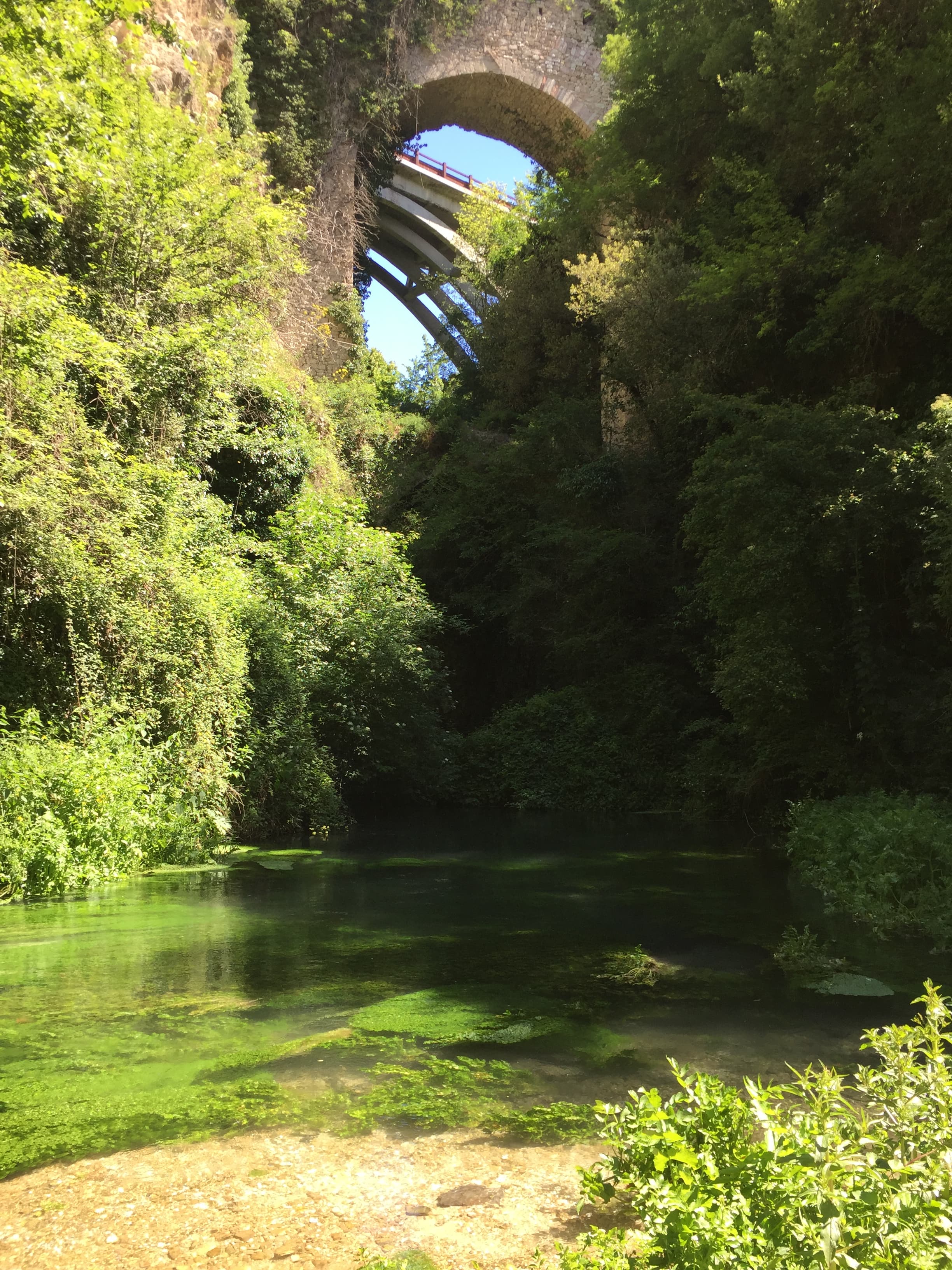 FLY FISHING IN UMBRIA