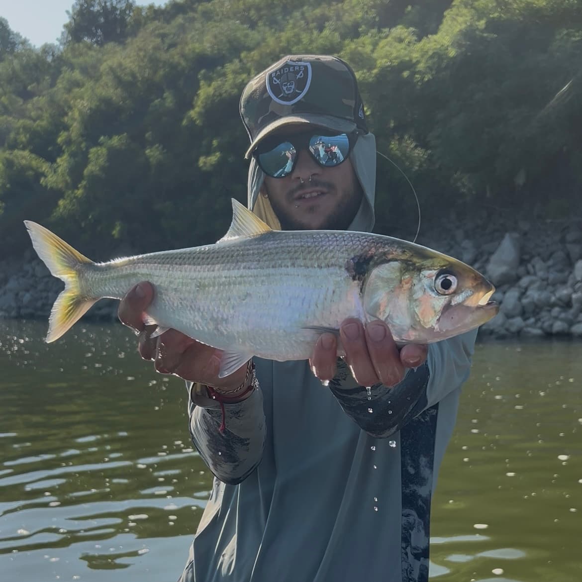Uscita di pesca alla Cheppia