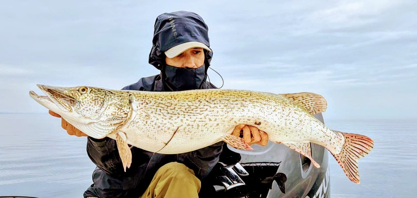 Spinning/Casting/Trolling/Vertical jig 