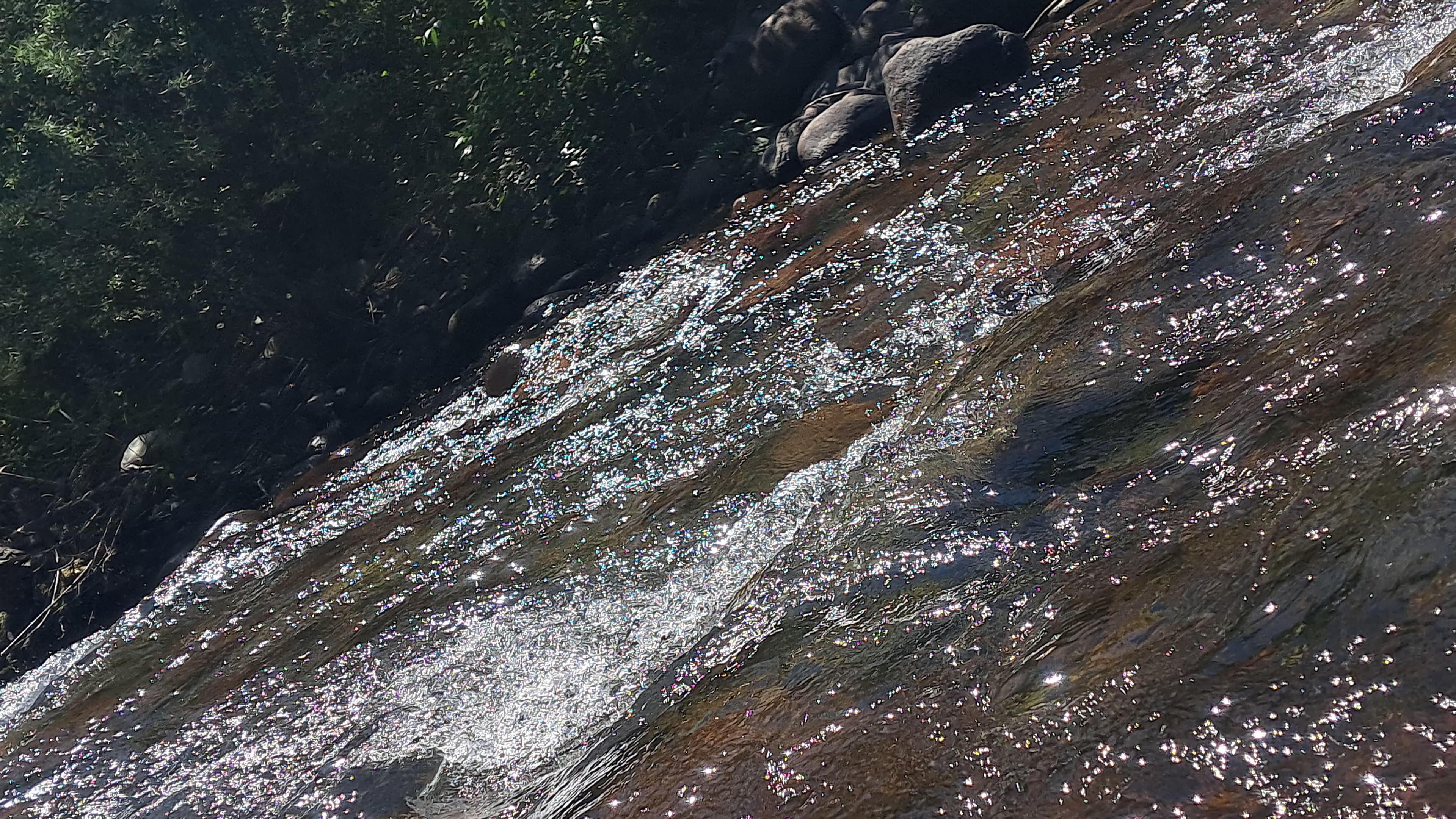 Pesca a mosca in torrente