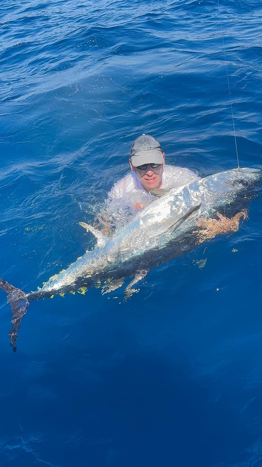 TRAINA COL VIVO 1 PERSONA - 5