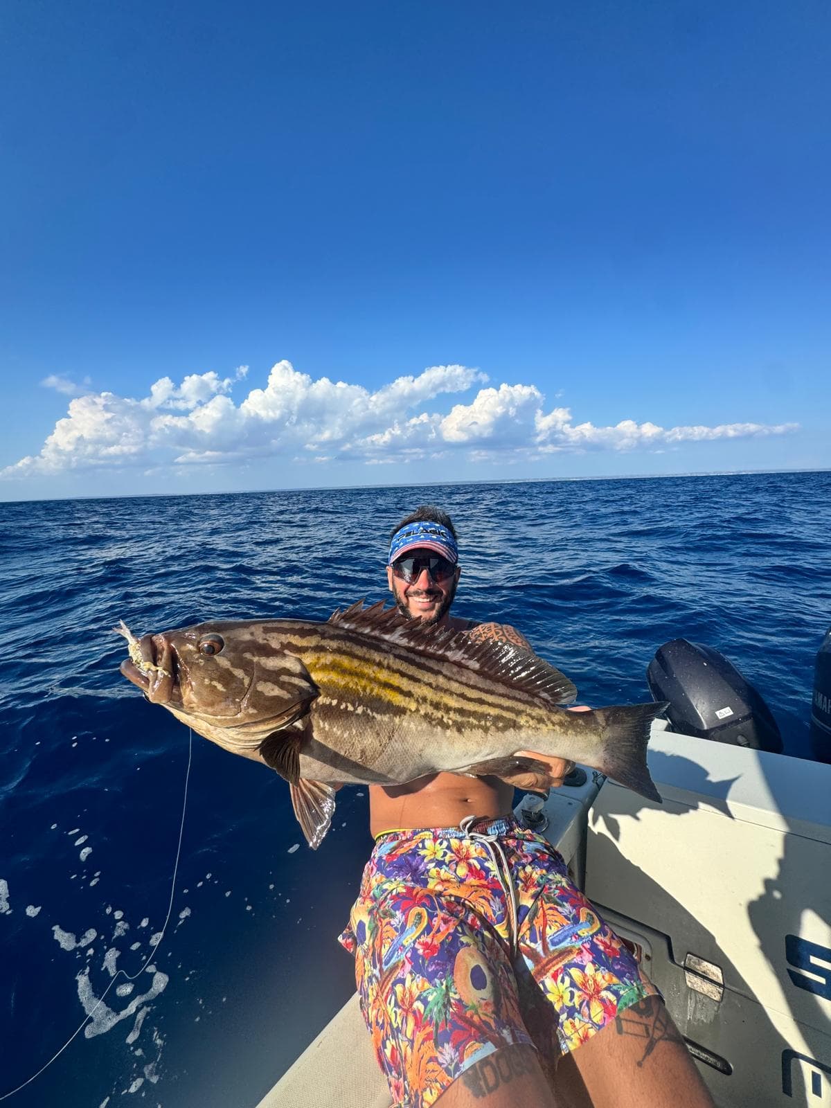 TRAINA COL VIVO 1 PERSONA - 8