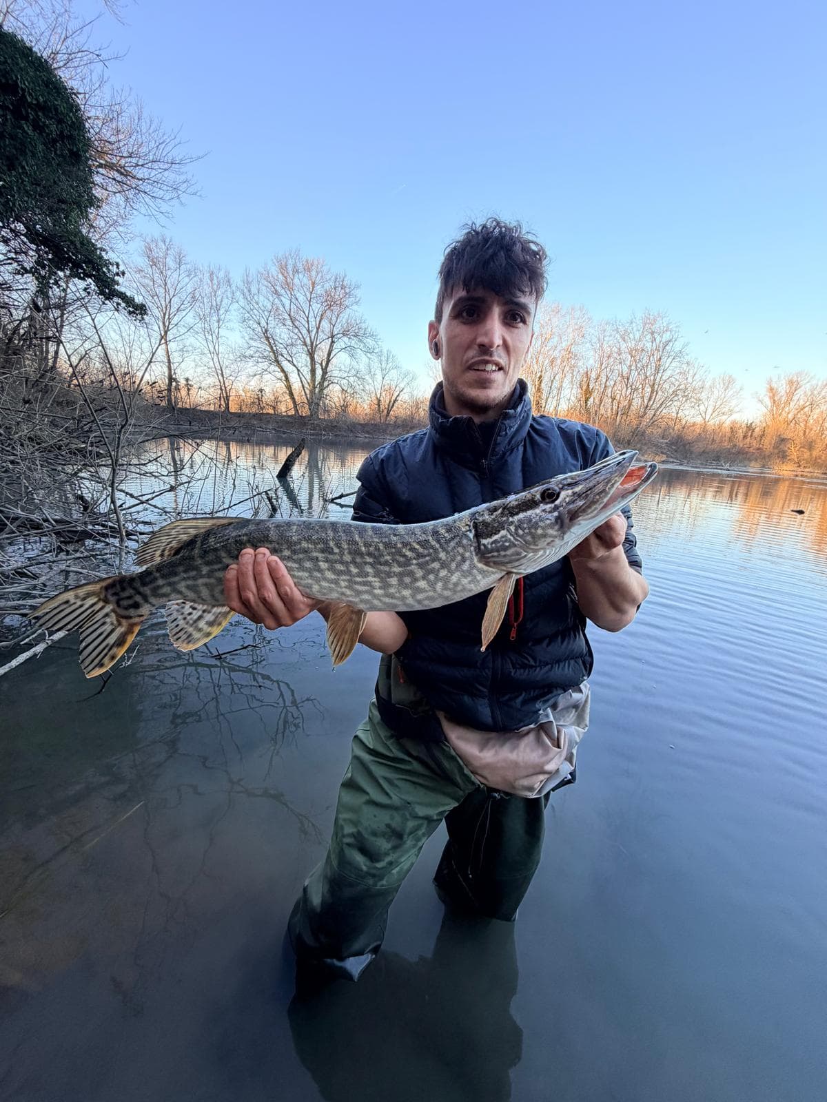 diego armando Provenzano - 1