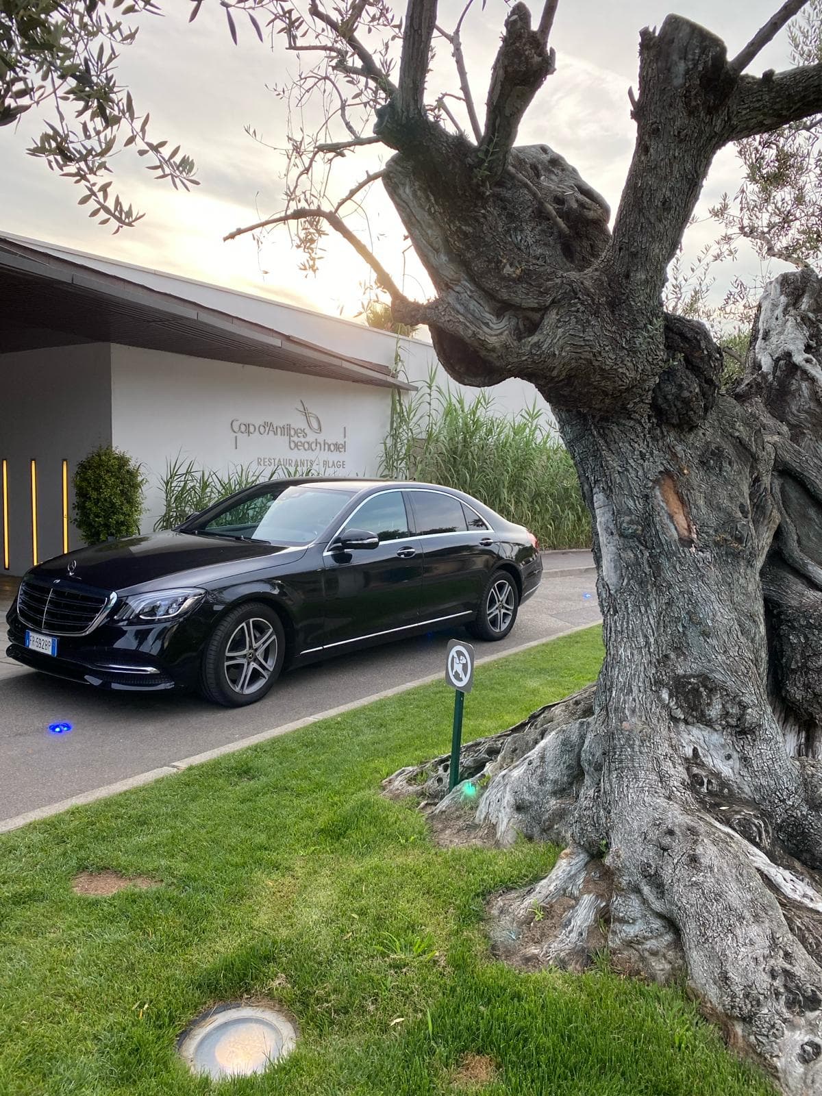 Dante Dell Ernia - 1