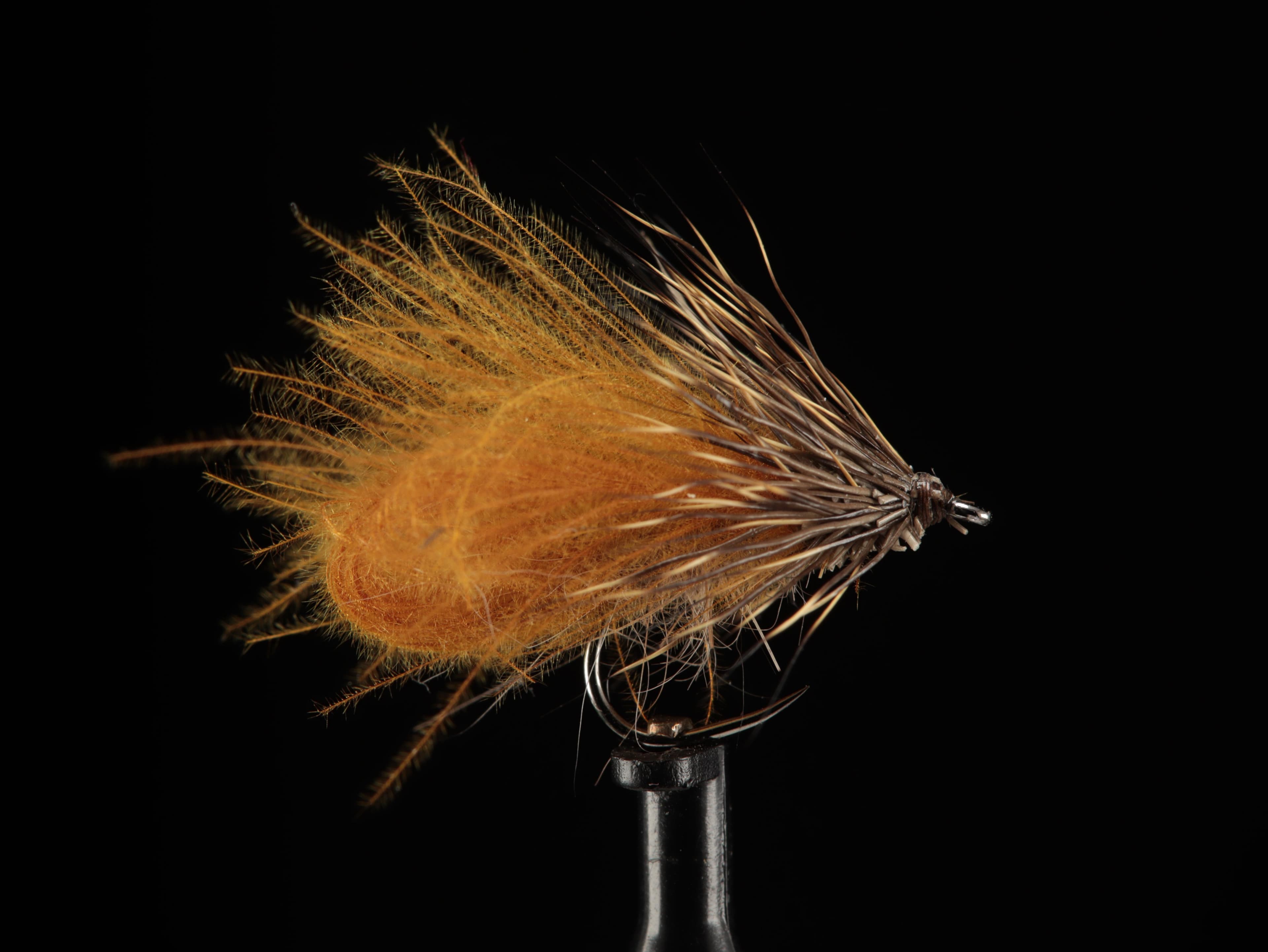 Dennis Alberti - 19