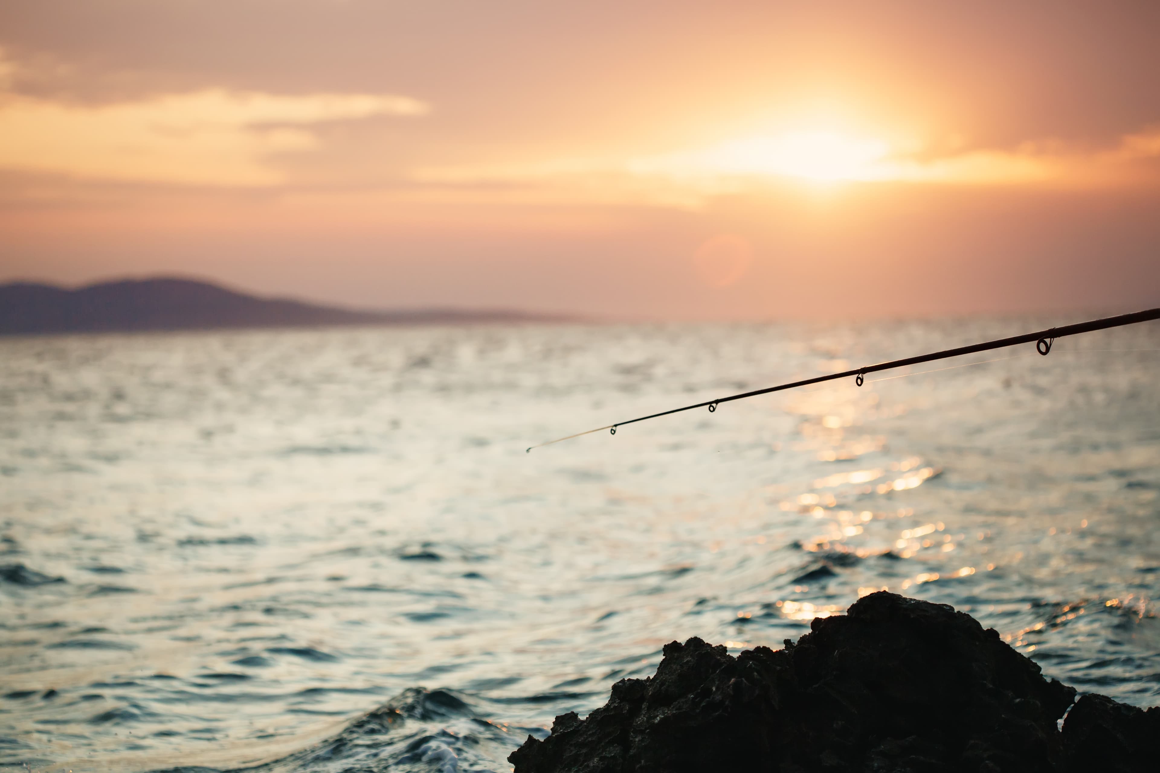 Adriatic Sea Fishing: Why Choose a Guide