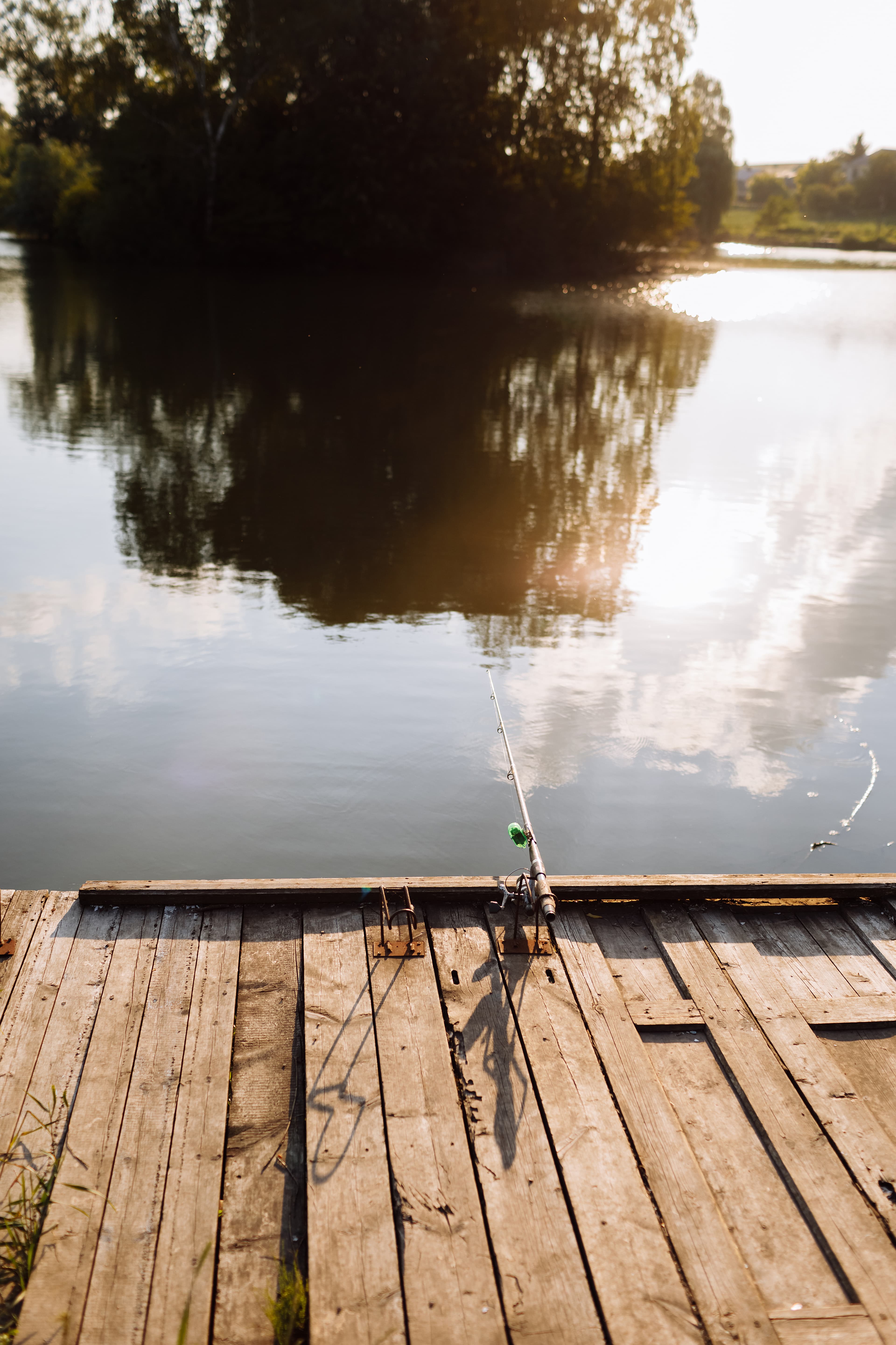 Professional Guide for Fishing on the Piave River