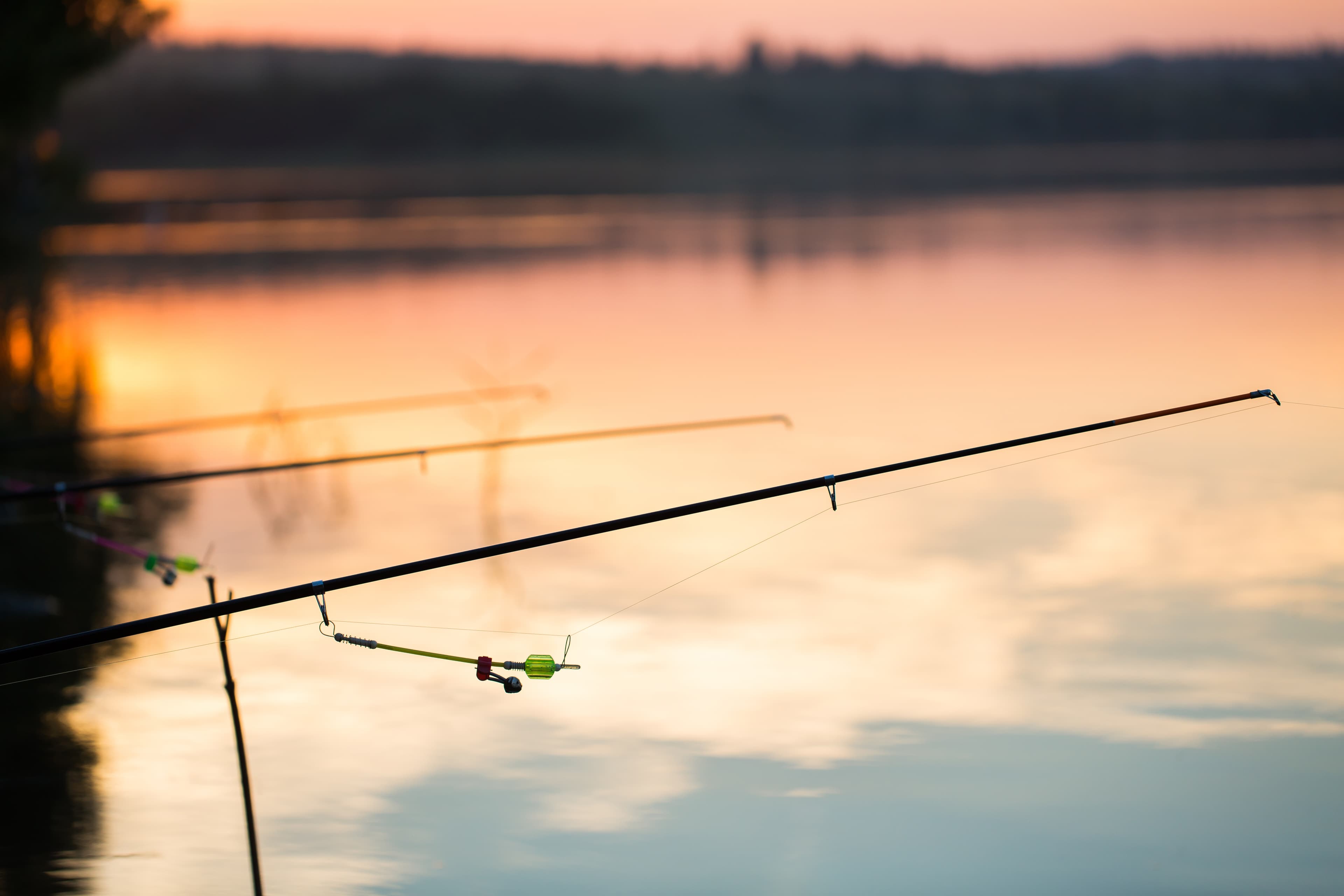 Fishing at Lake Como with a Professional Guide