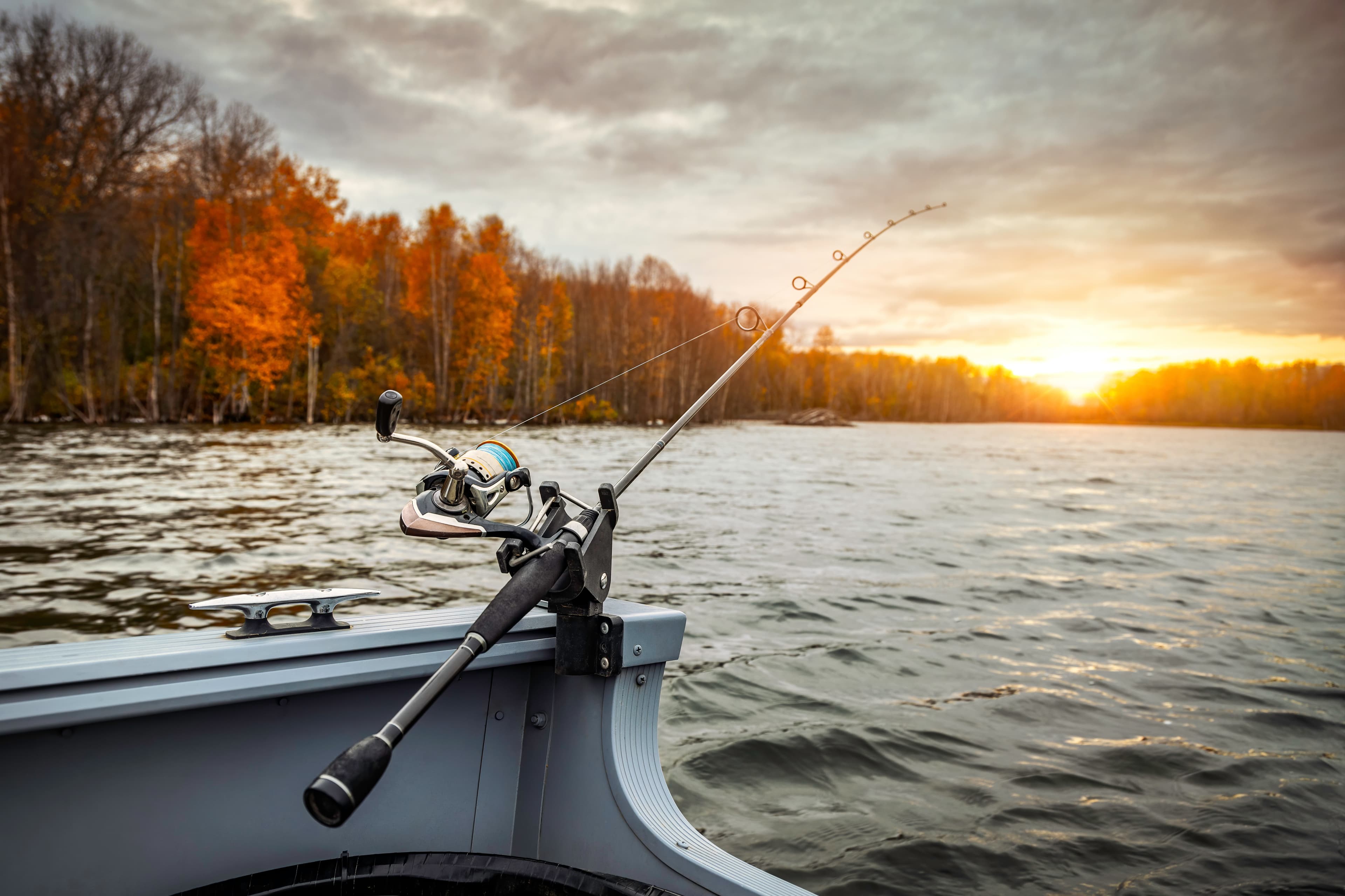 Fishing on the Po: A Guide to Fishing on the Po River