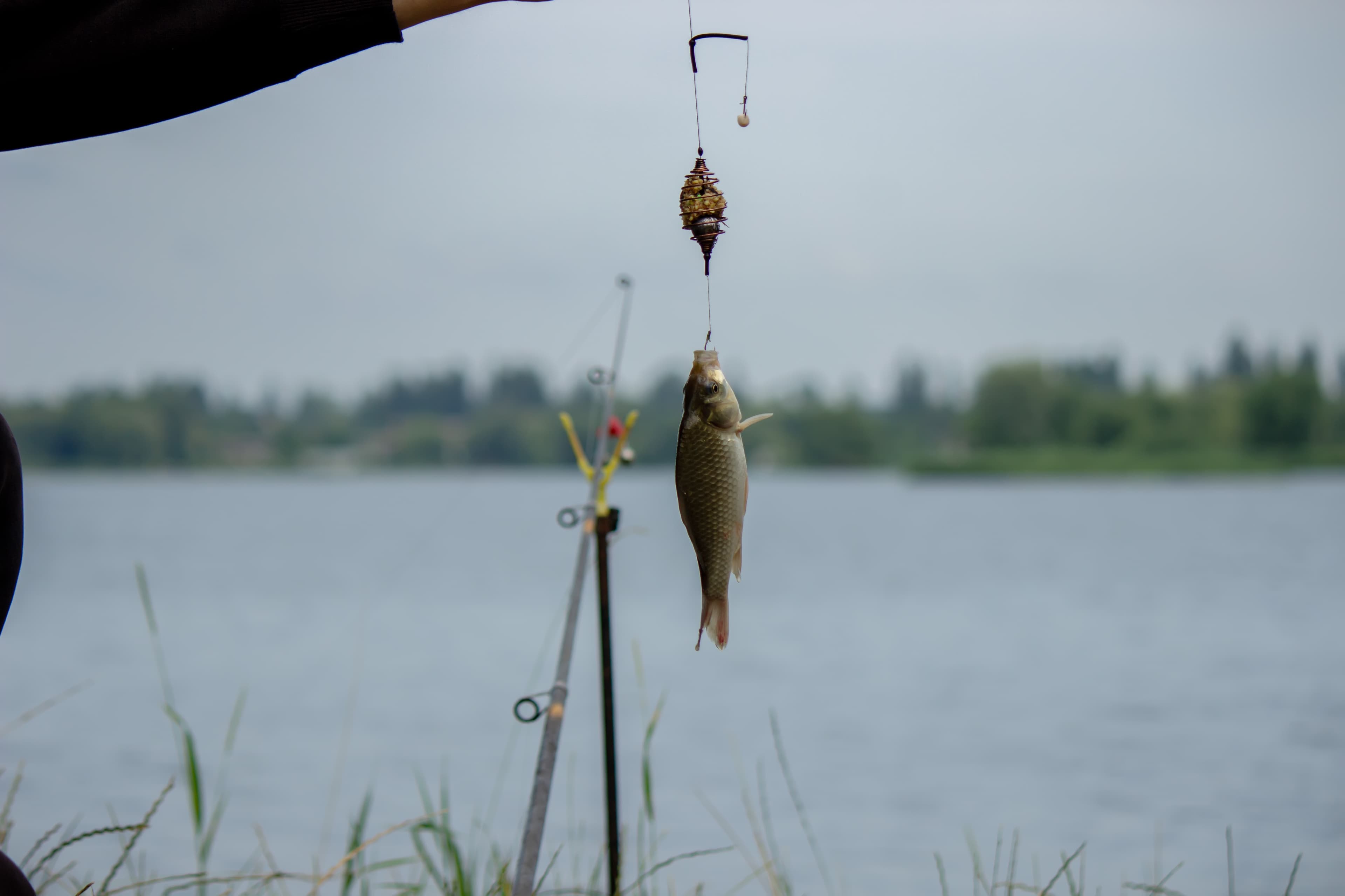 Fishing at Lake Bolsena with a Professional Guide