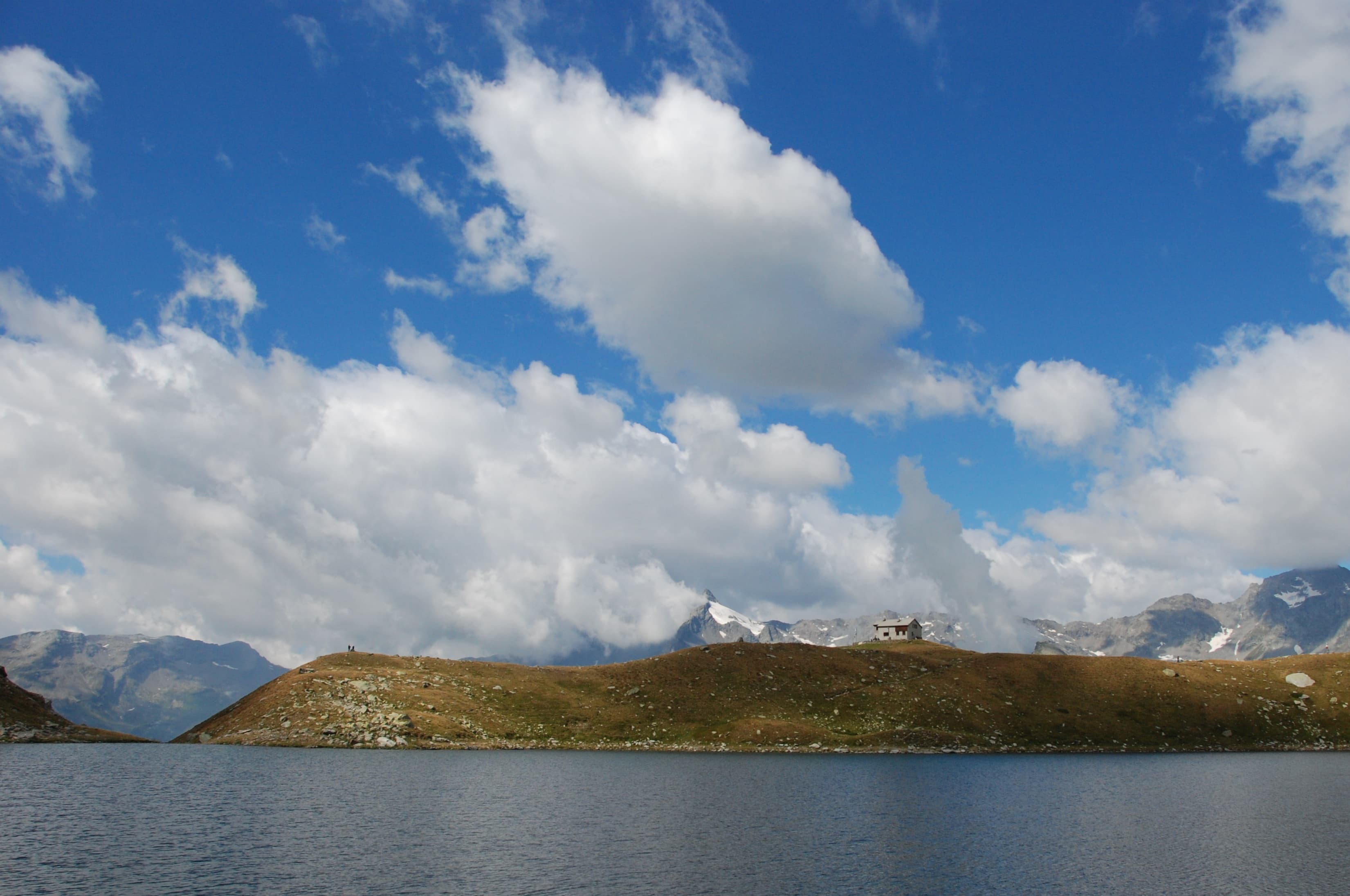 Pesca a mosca in lago alpino e torrente