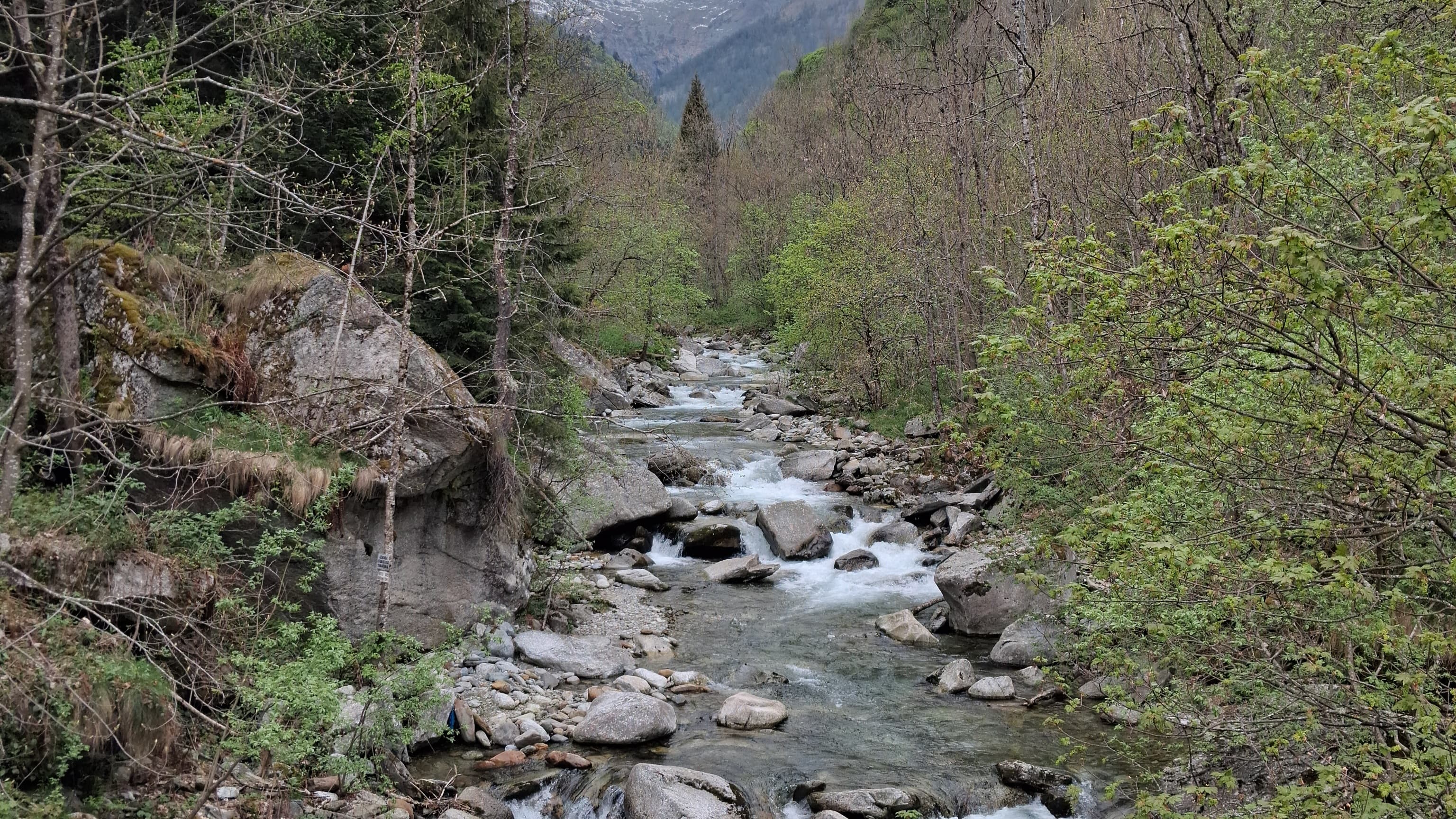 Pesca a mosca in torrente